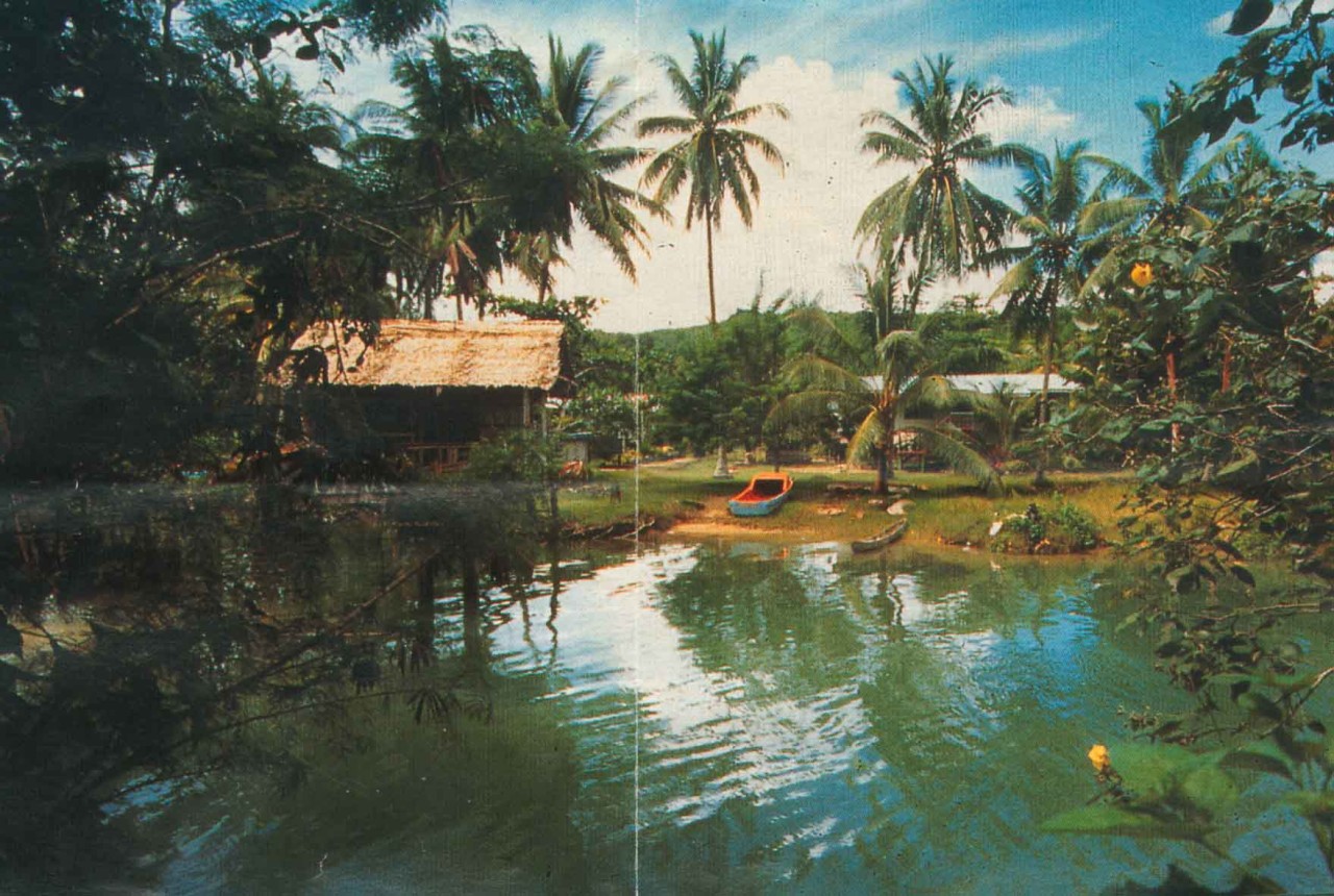 Land of Coconut Trees